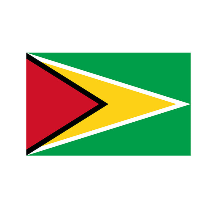 Adesivo bandiera Guyana