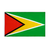 Bandiera Guyana 60 x 90 cm