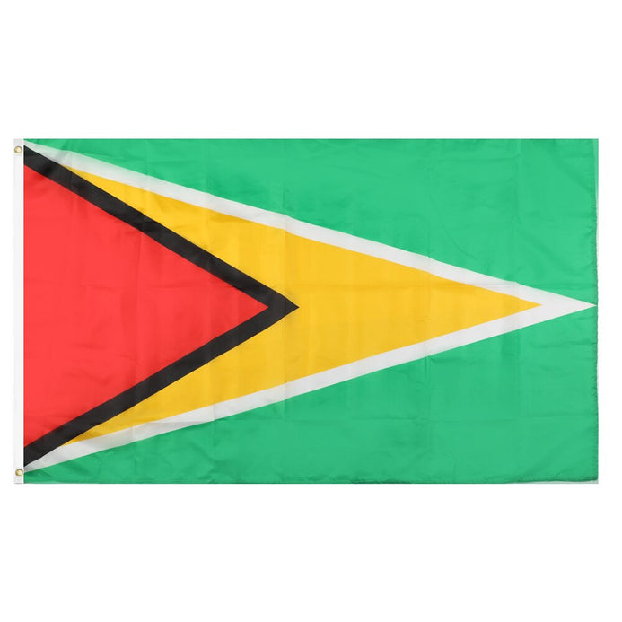 Bandiera Guyana esterno