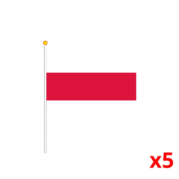 Mini bandiera Polonia