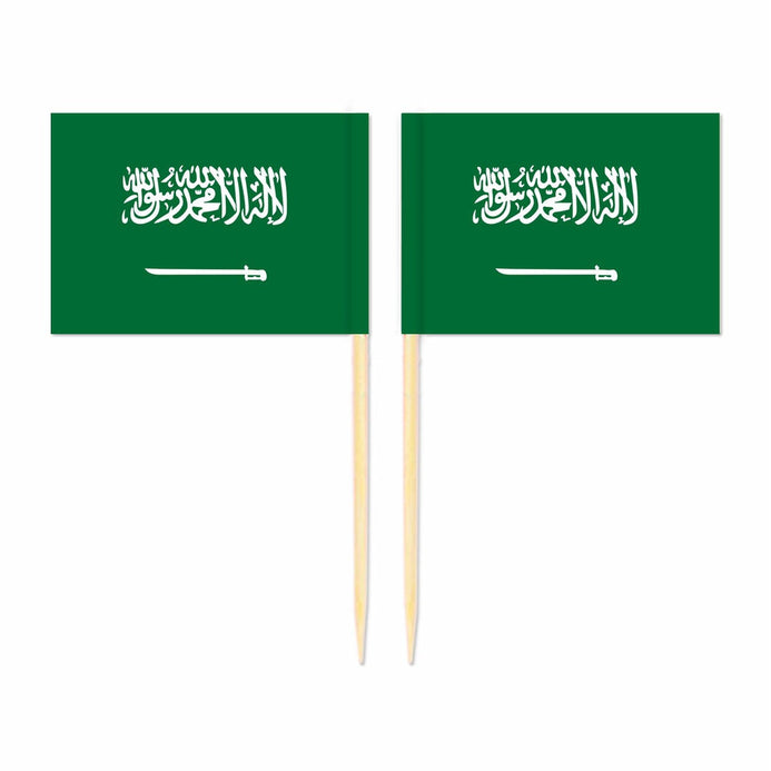 Mini plettri bandiera Arabia Saudita