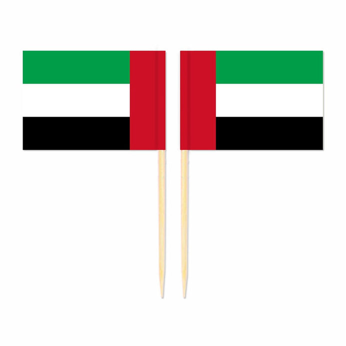 Mini plettri bandiera Emirati Arabi Uniti