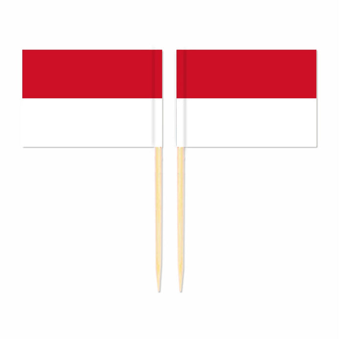 Mini plettri bandiera Indonesia