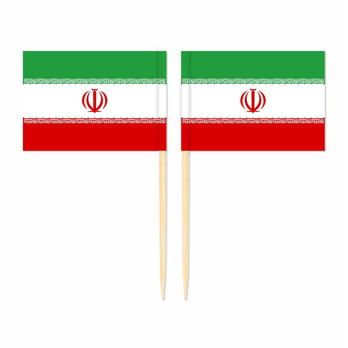 Mini plettri bandiera Iran