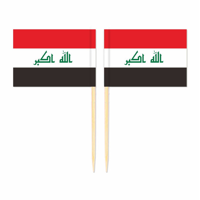 Mini plettri bandiera Iraq