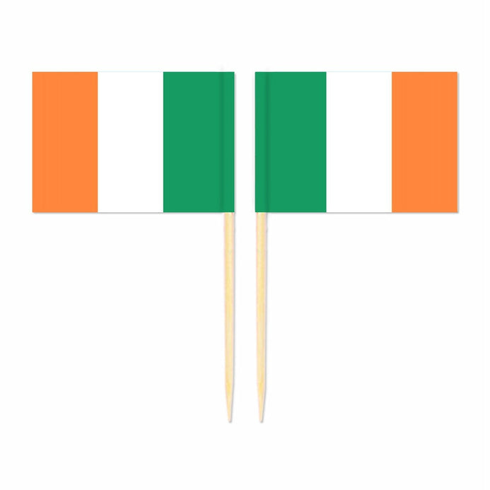 Mini plettri bandiera Irlanda