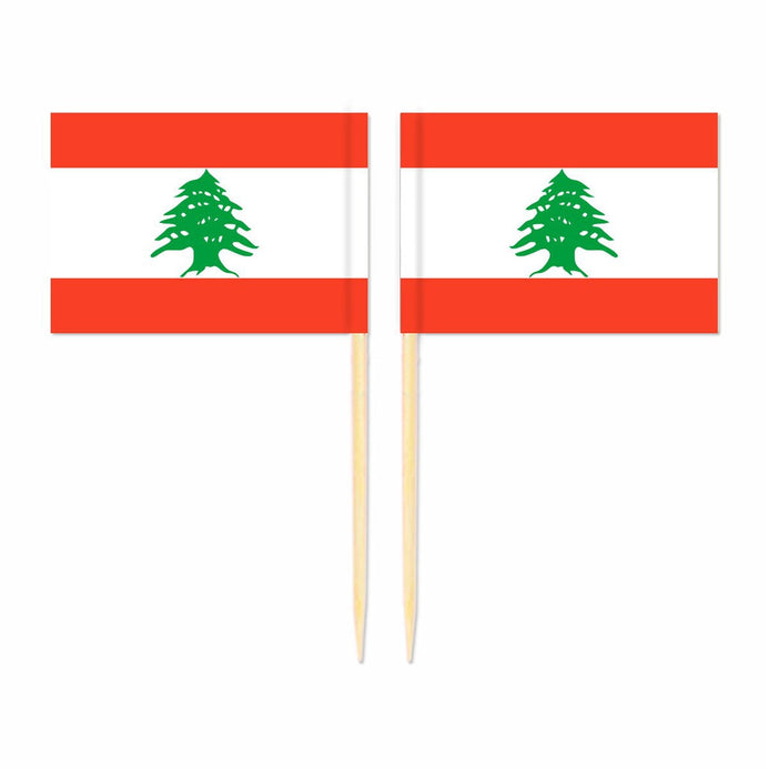 Mini plettri bandiera Libano