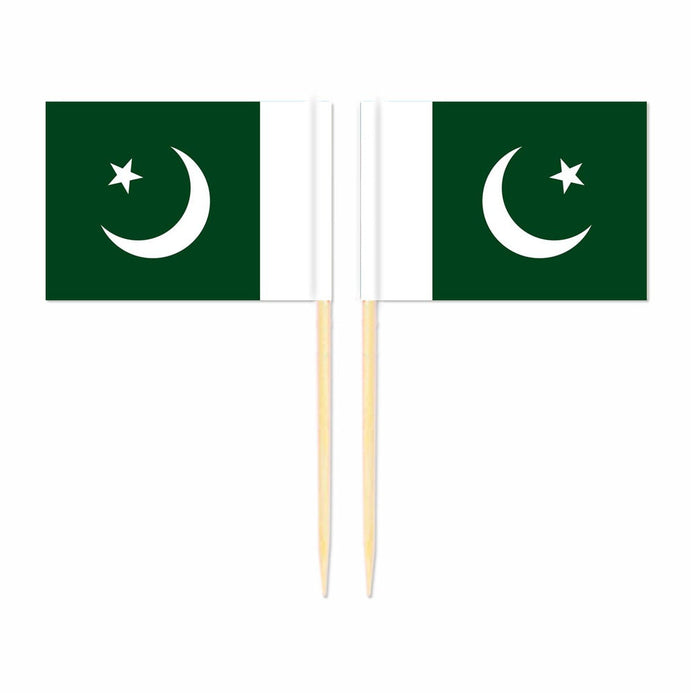 Mini plettri bandiera Pakistan