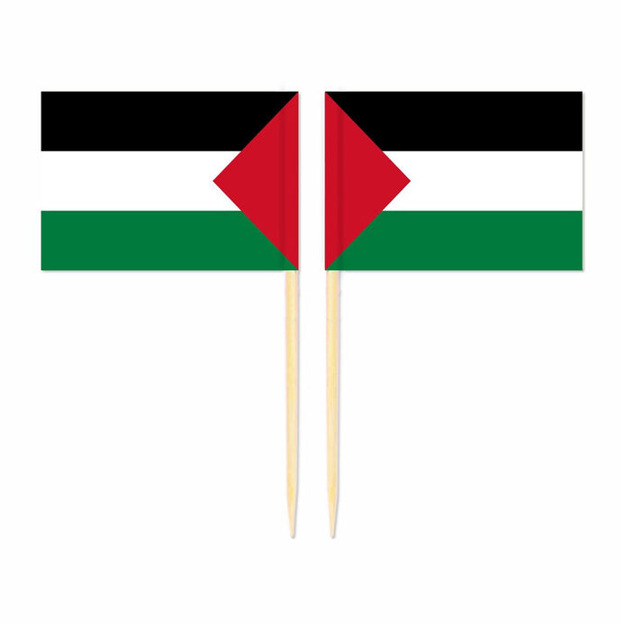Mini plettri bandiera Palestina