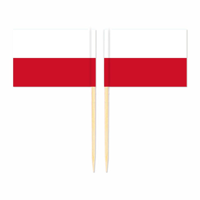 Mini plettri bandiera Polonia
