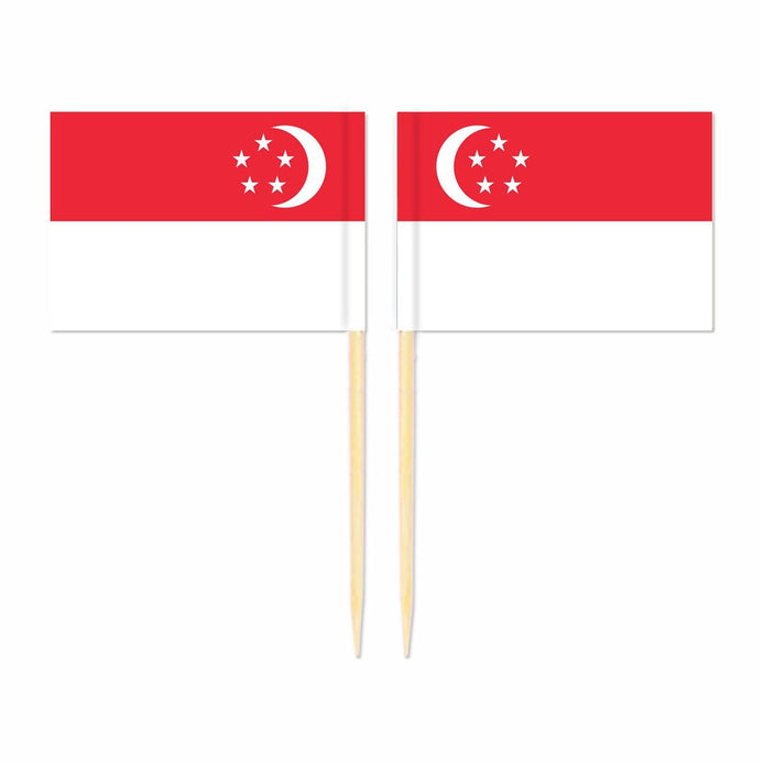 Mini plettri bandiera Singapore