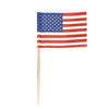 Mini plettri bandiera Stati Uniti