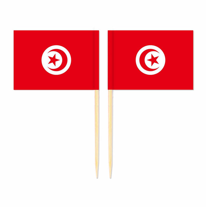 Mini plettri bandiera Tunisia