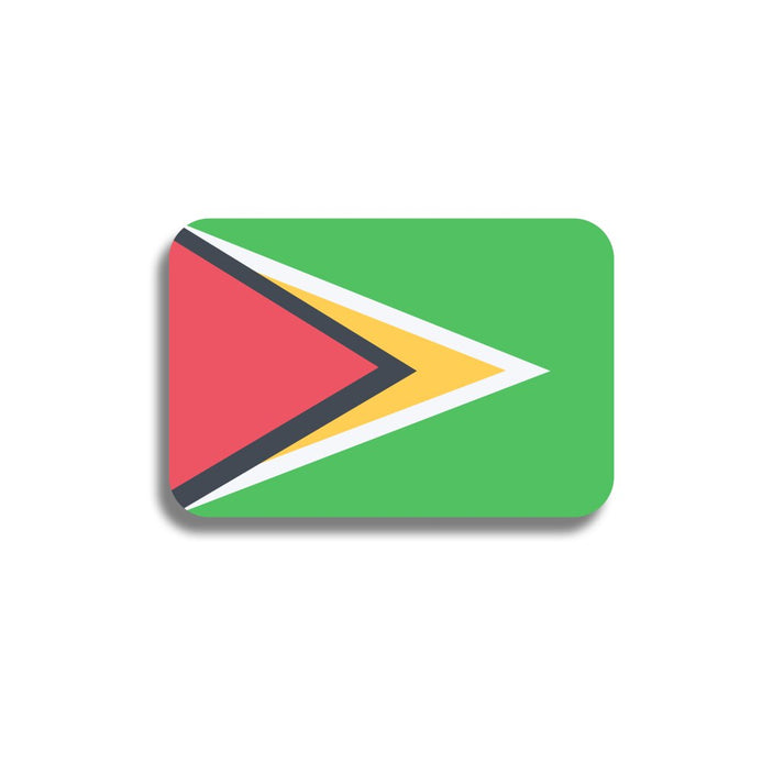 Spillone bandiera Guyana