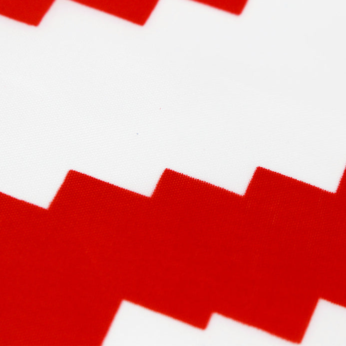 Grande bandiera Bielorussia