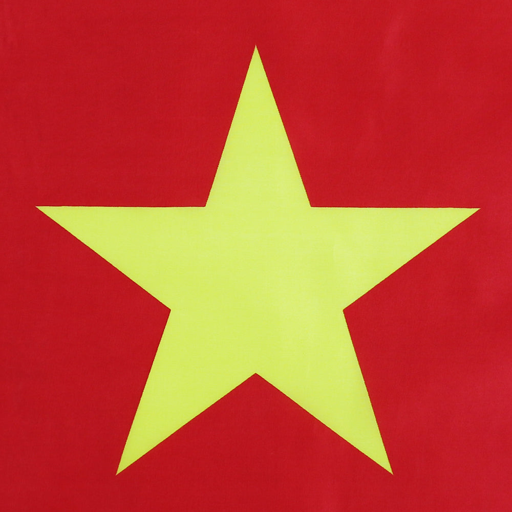 Bandiera Camerun 90 x 150 cm