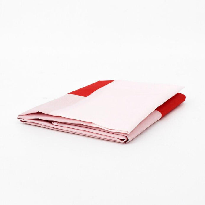 Piccolo bandiera Danimarca