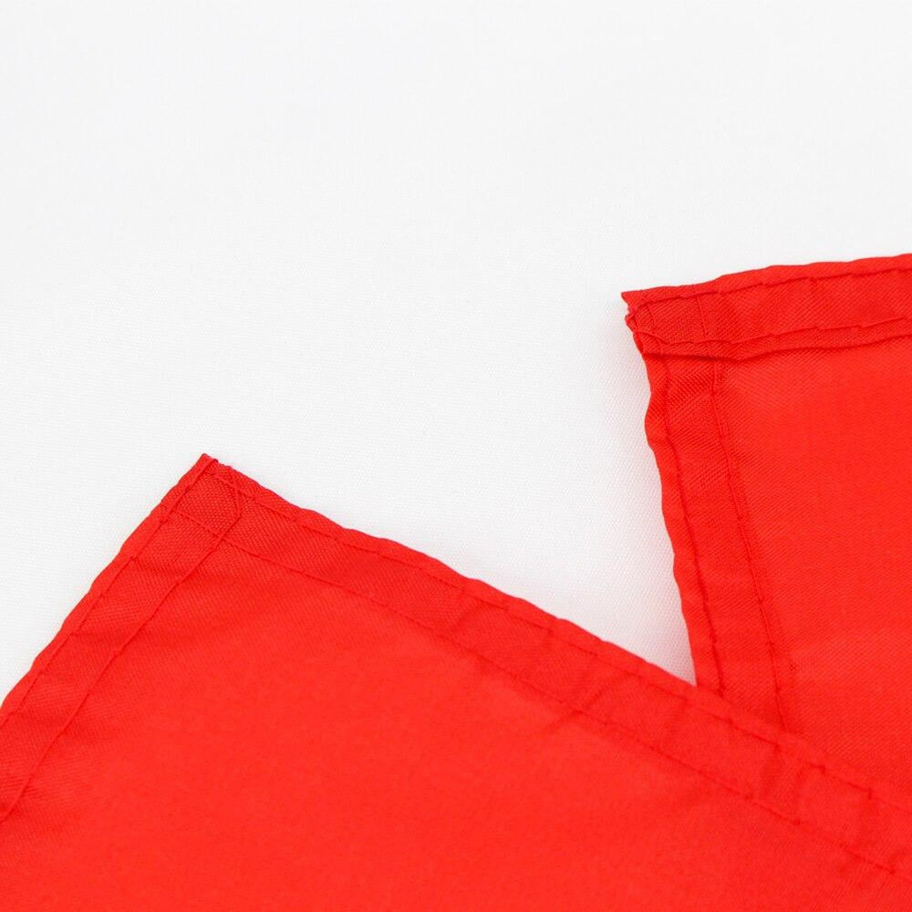 Bandiera Francia 60 x 90 cm