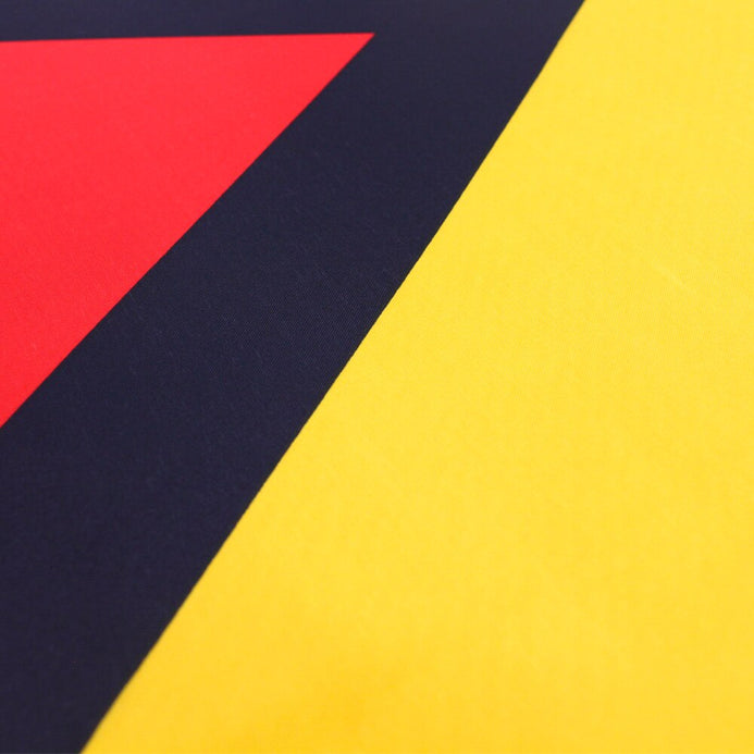 Grande bandiera Guyana