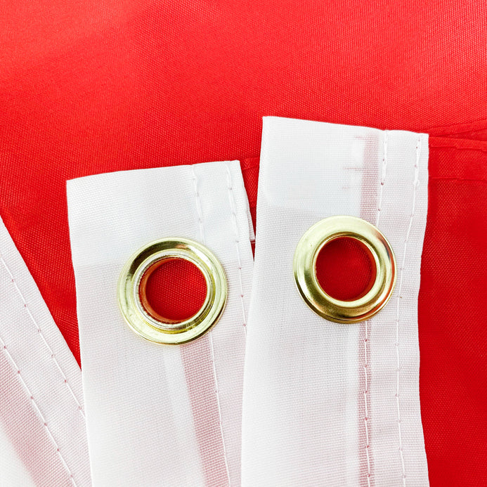 Bandiera Norvegia 90 x 150 cm