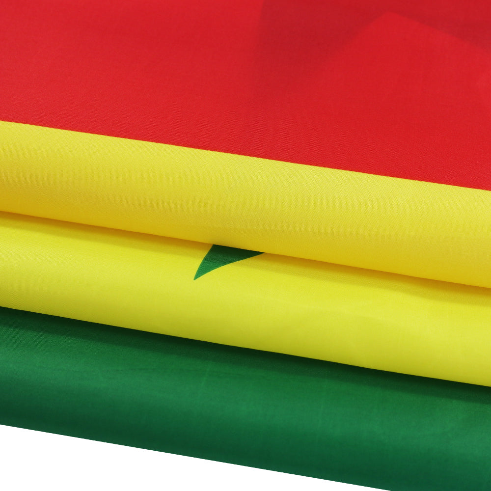 Bandiera Senegal 60 x 90 cm