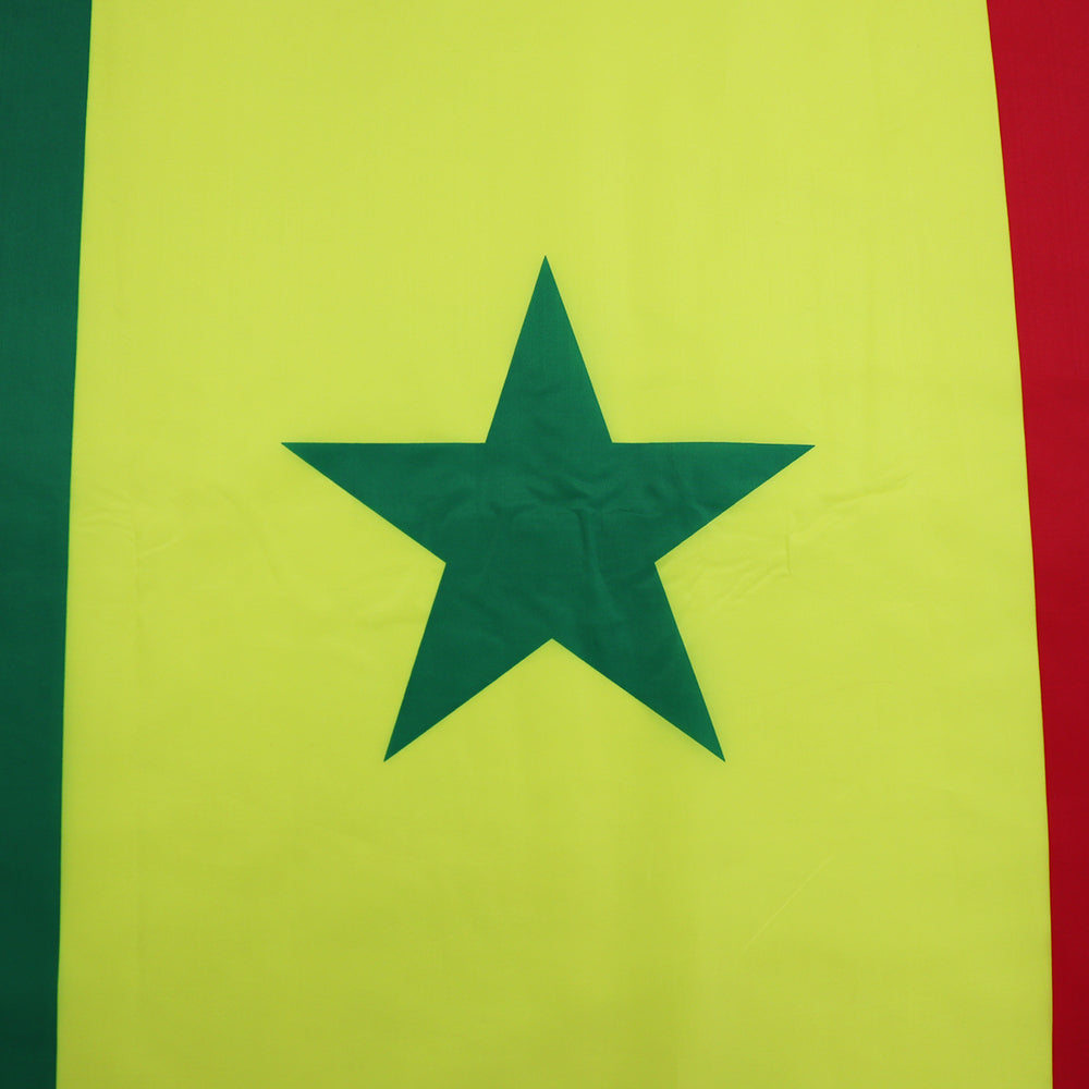 Bandiera Senegal 60 x 90 cm
