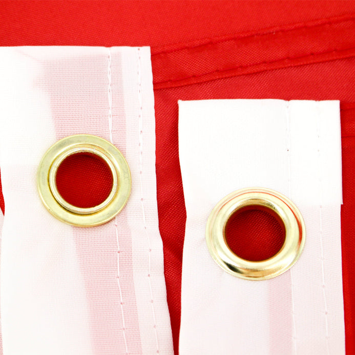 Bandiera Tunisia 60 x 90 cm