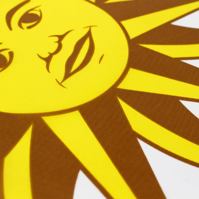 Grande bandiera Uruguay