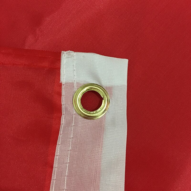 Bandiera Polonia esterno