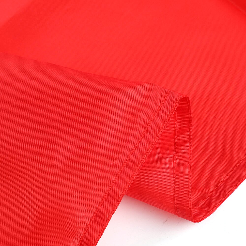 Bandiera Cile esterno