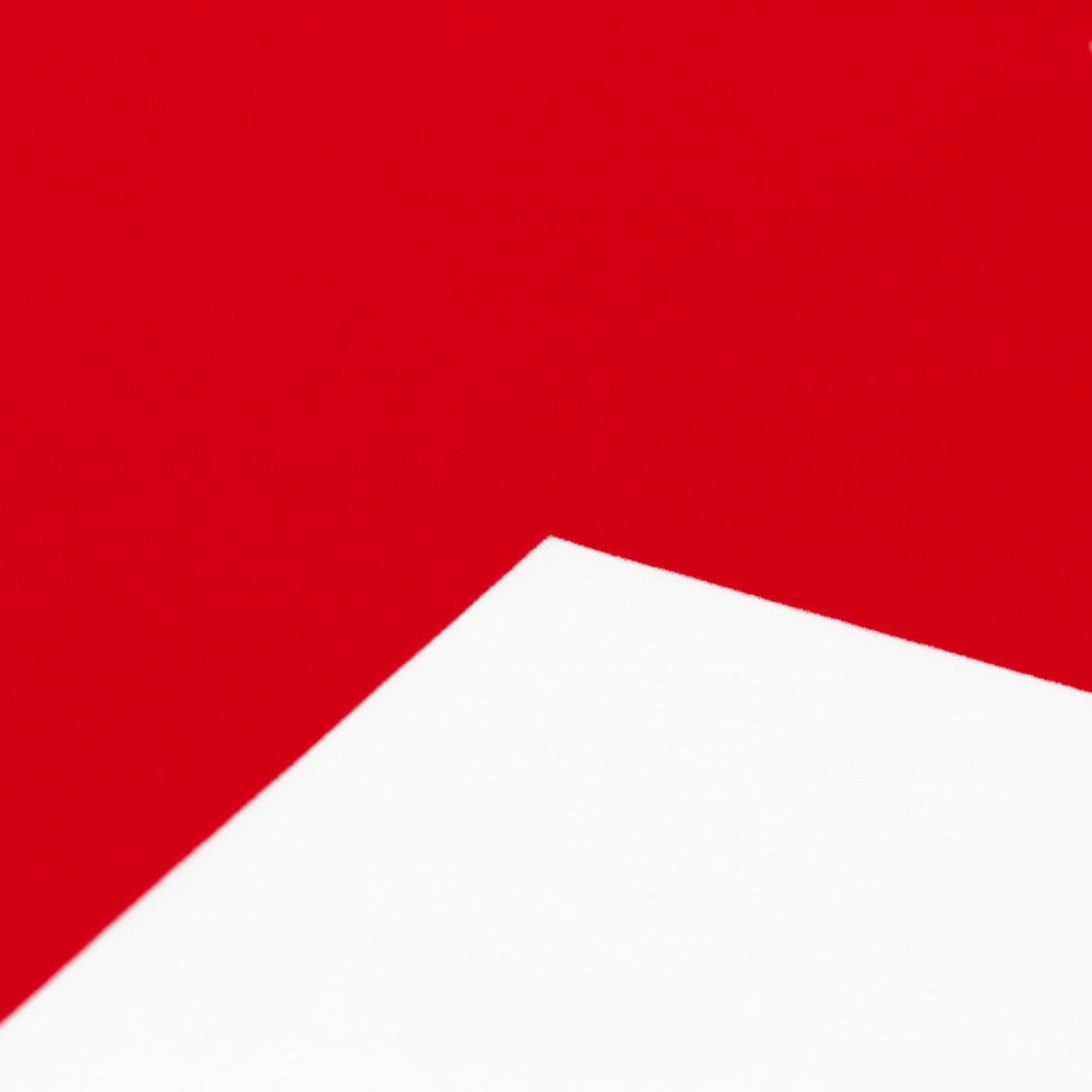 Bandiera Corea del Nord 90 x 150 cm