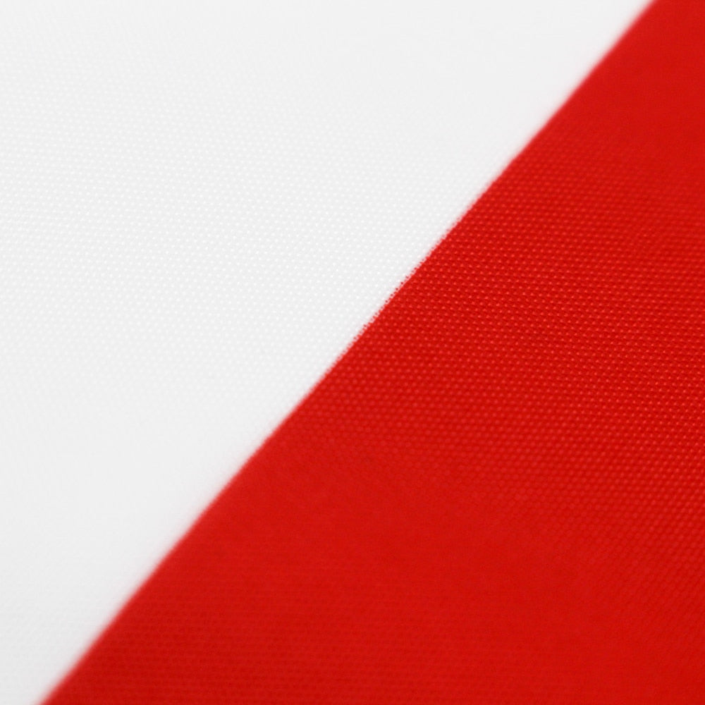 Bandiera Cile 90 x 150 cm