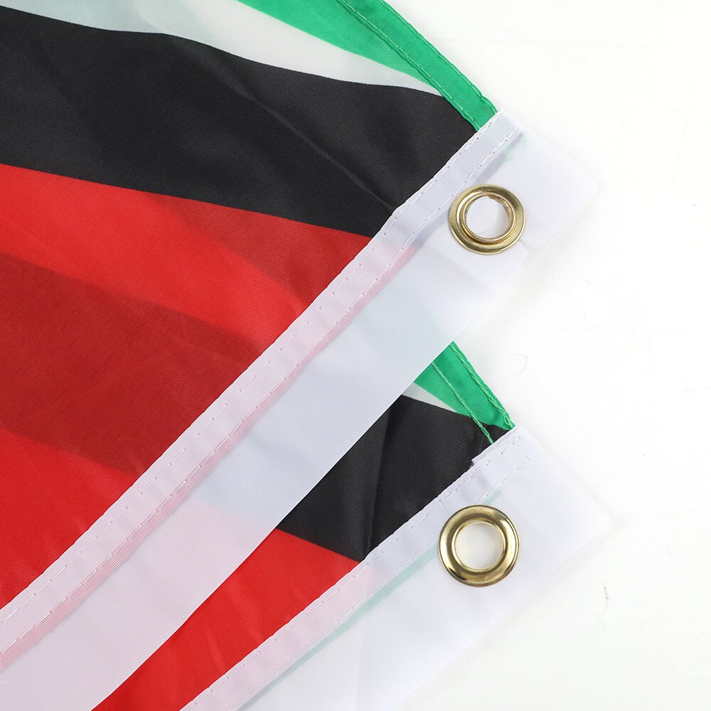 Bandiera Guyana esterno