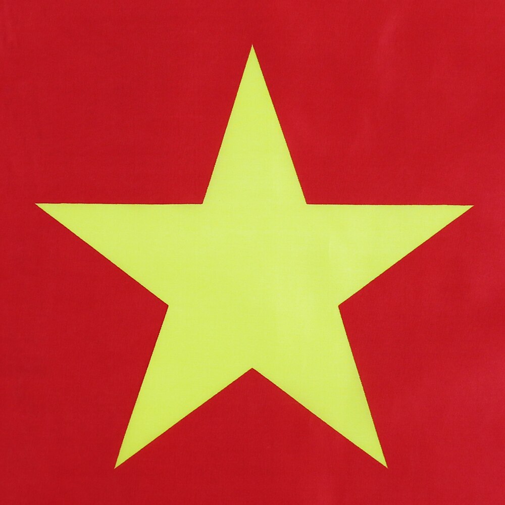 Bandiera Camerun esterno