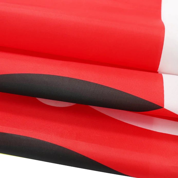 Bandiera Kenya esterno