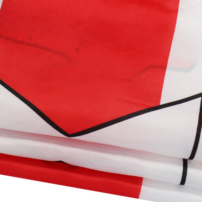 Antica bandiera Irlanda del Nord