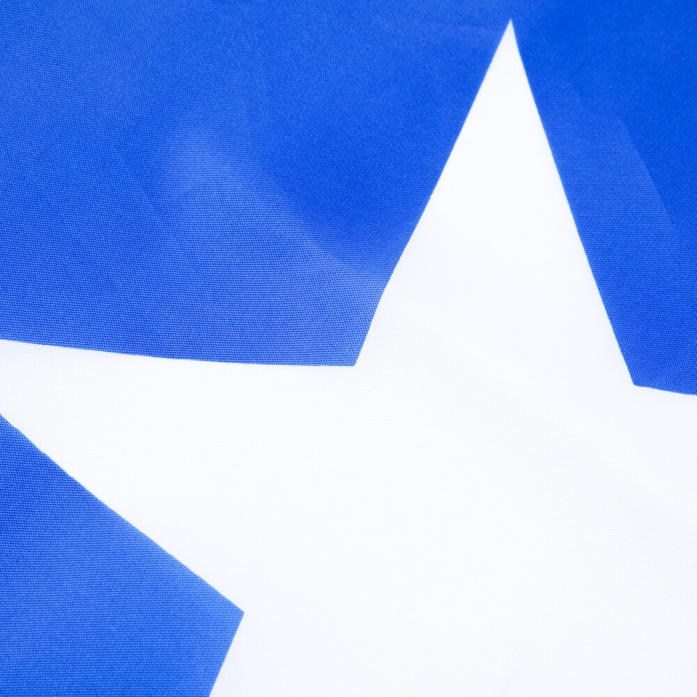 Bandiera Cile esterno