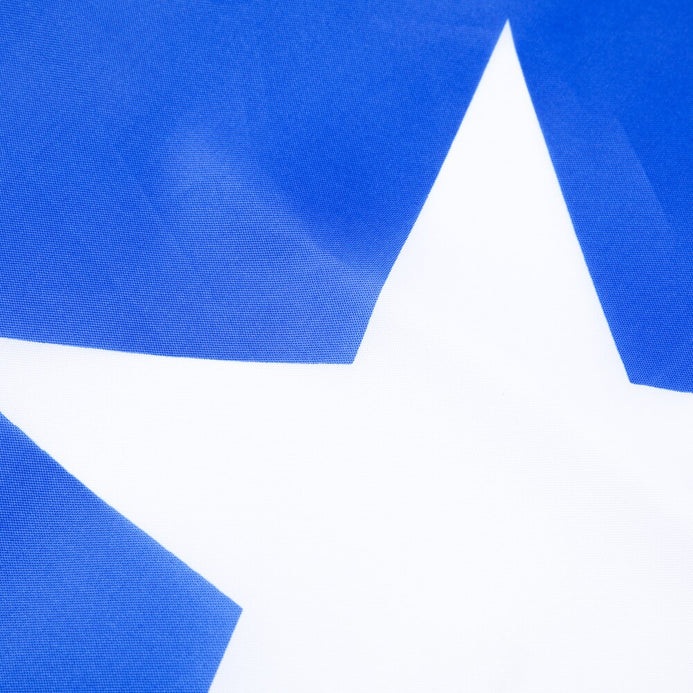 Bandiera Cile esterno