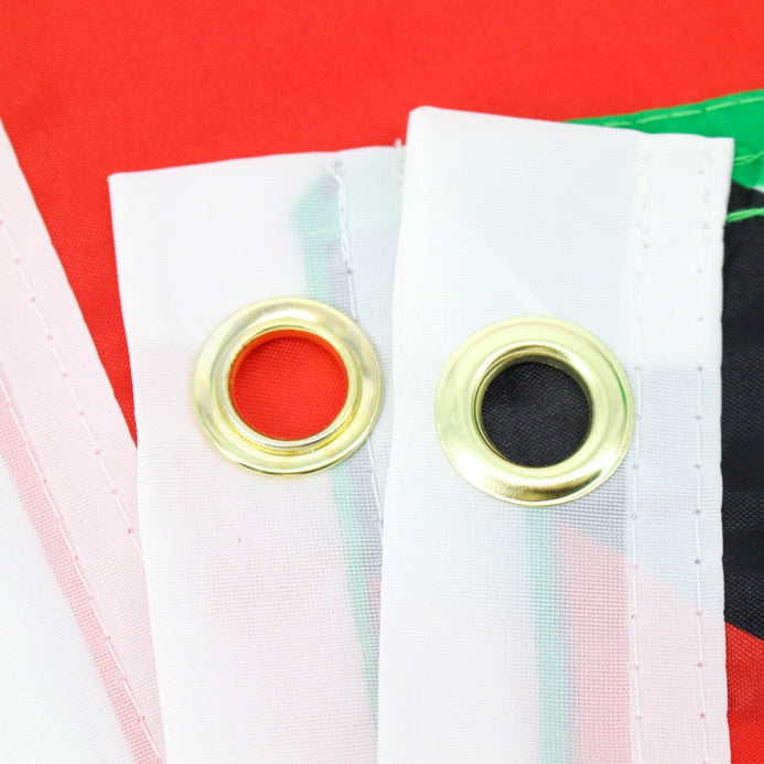 Bandiera Guyana 60 x 90 cm