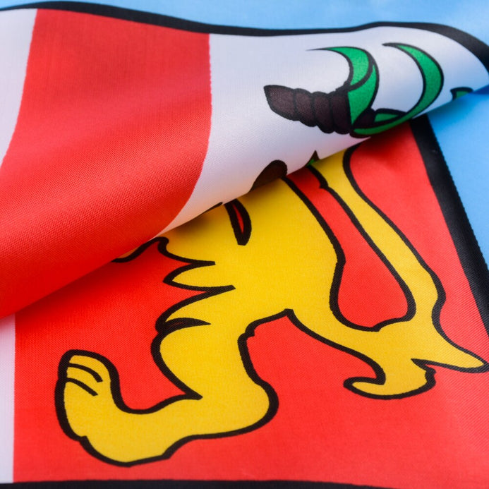 Bandiera Fiji qualità PRO