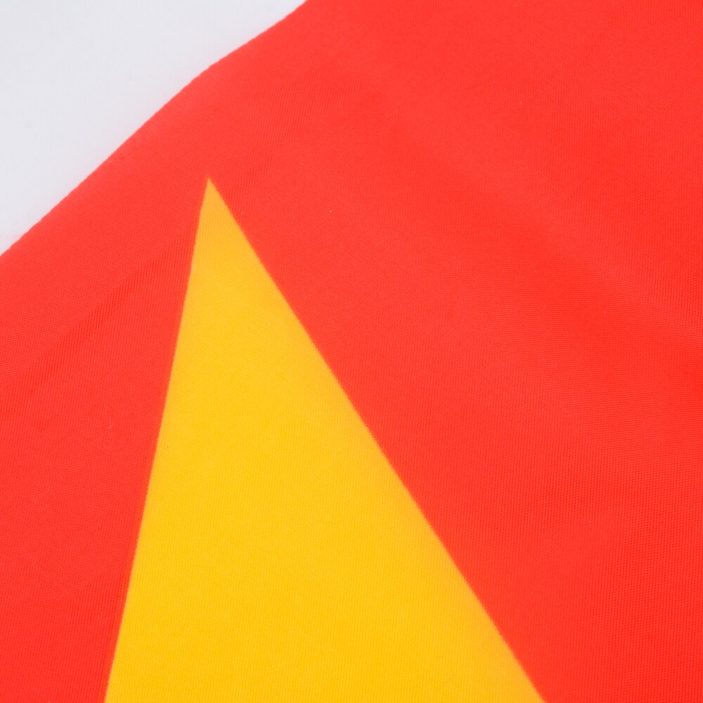 Bandiera Suriname esterno