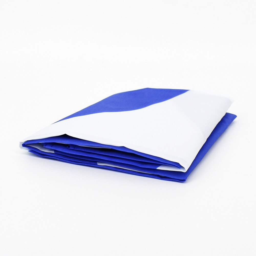 Bandiera Scozia esterno