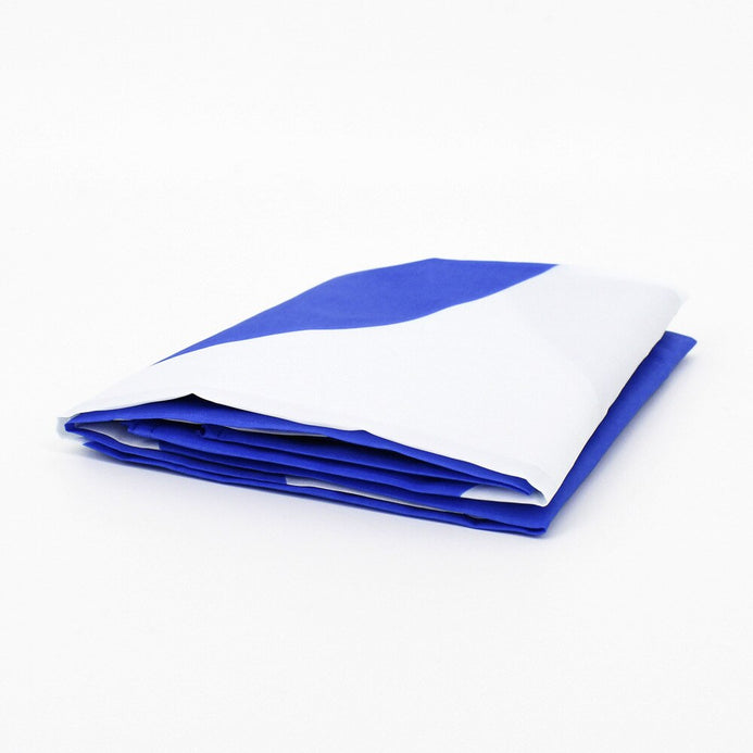 Bandiera Scozia esterno