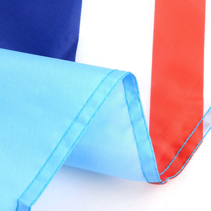 Bandiera Fiji qualità PRO