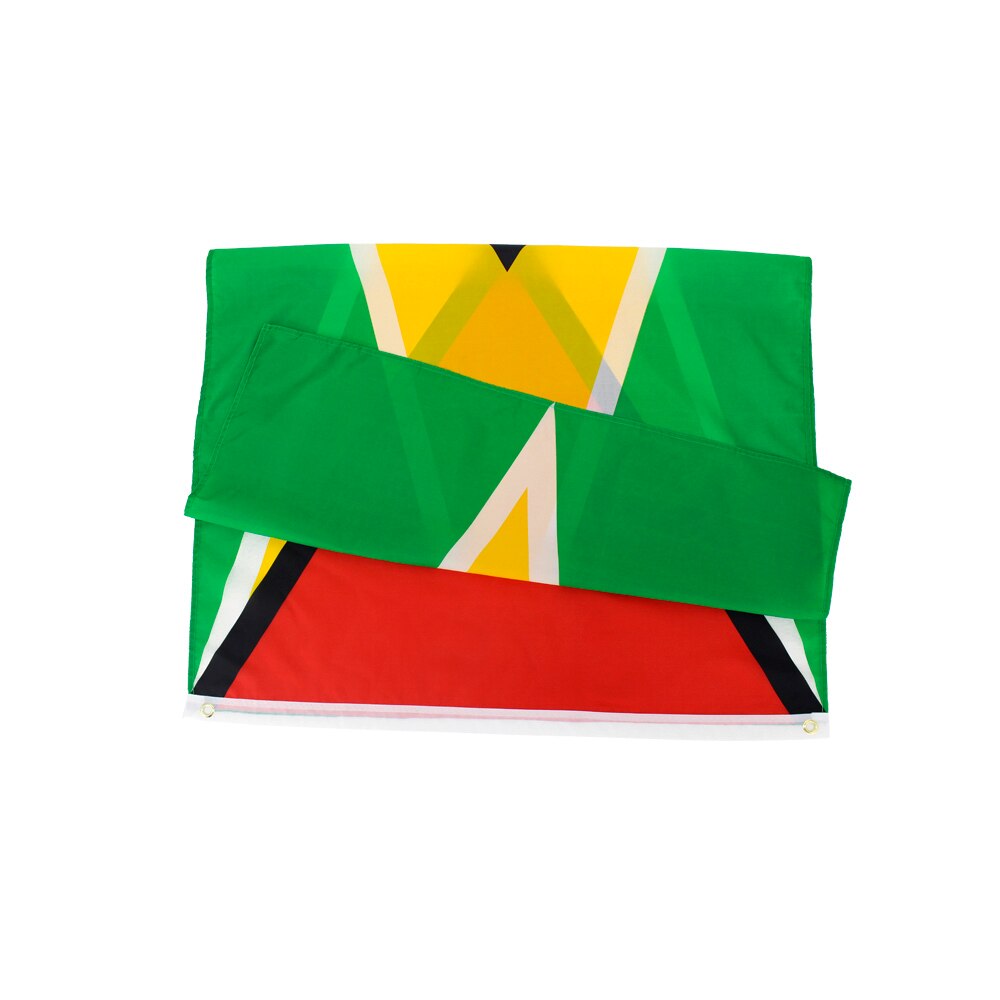 Bandiera Guyana 60 x 90 cm