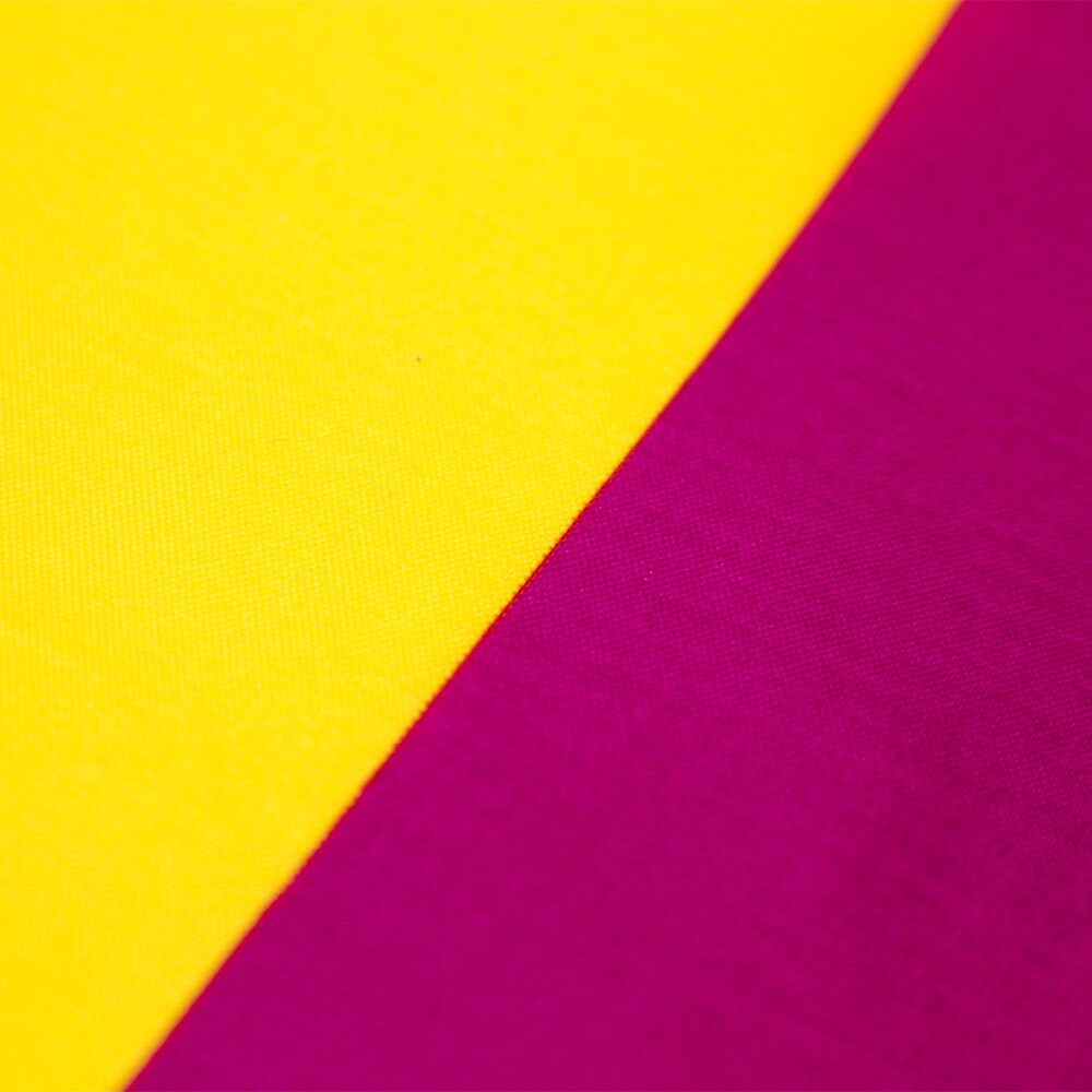 Bandiera Spagna viola