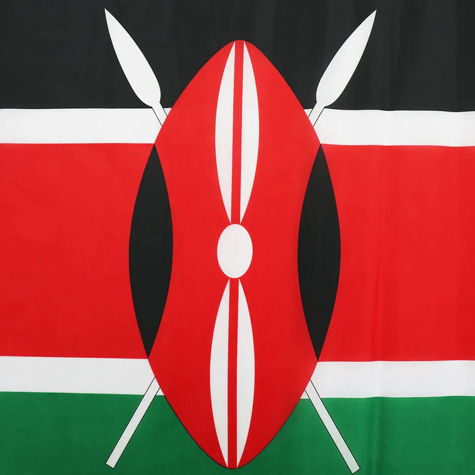 Bandiera Kenya esterno