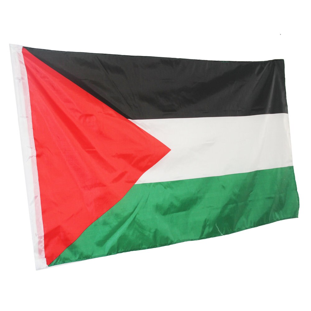 Bandiera Palestina esterno