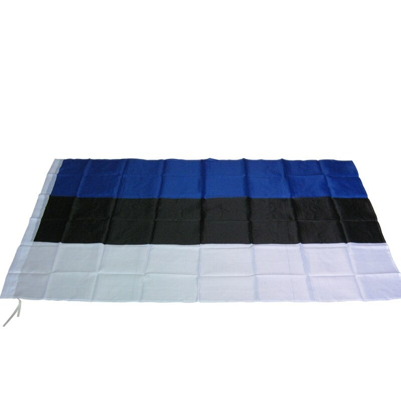 Bandiera Estonia esterno