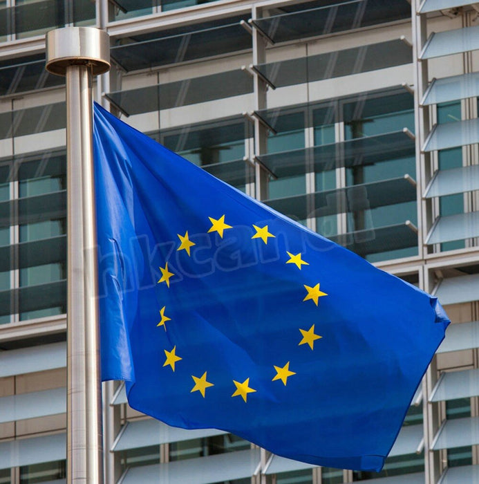 Bandiera Unione Europea esterno